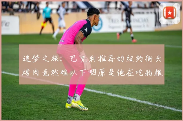 追梦之旅：巴克利推荐的纽约街头烤肉竟然难以下咽原是他在吃狗粮