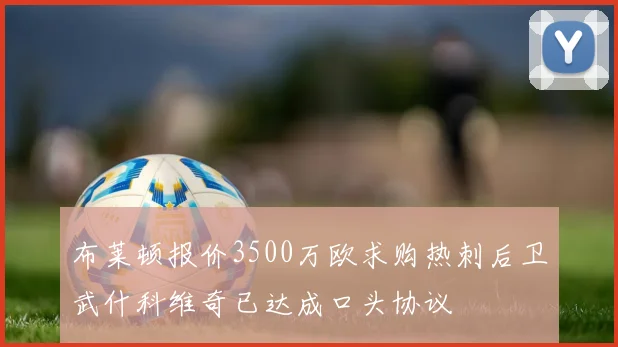 布莱顿报价3500万欧求购热刺后卫武什科维奇已达成口头协议