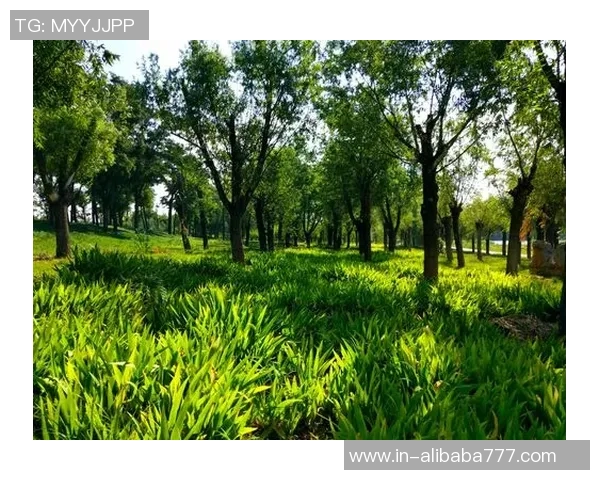 比克斯塔夫称赞艾维表现出色期待他未来更强劲的进步 比克斯塔夫称赞艾维表现出色期待他未来更强劲的进步